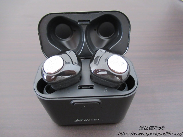 AVIOT TE-D01d イヤホンケース2