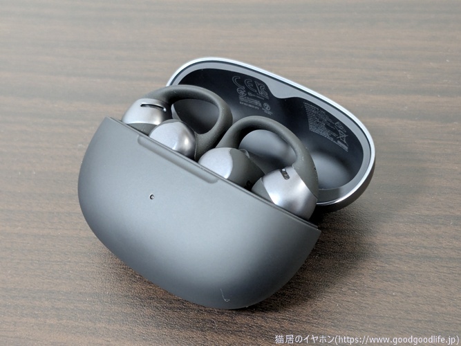 Shokz OpenDots ONE