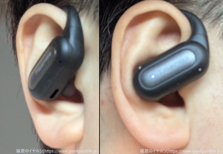 TRUEFREE EarFit DS1 装着時の見た目
