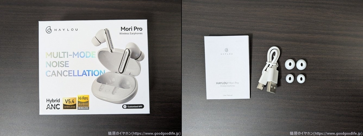 HAYLOU Mori Pro 外箱・付属品