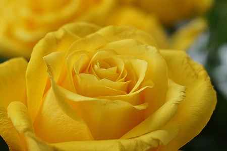 f:id:catpower:20210514061505j:plain