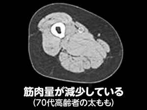 f:id:catpower:20210830215818j:plain