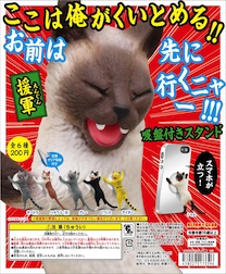 f:id:catrabbitnekousagi:20160713210221j:plain f:id:catrabbitnekousagi:20160713210221j:plain