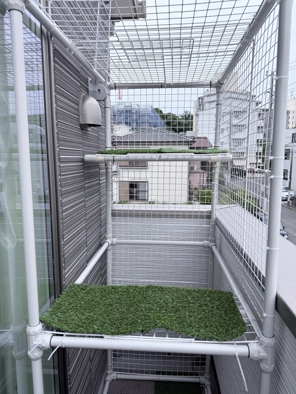 f:id:catsdiary:20260506183302j:image f:id:catsdiary:20260506183302j:image