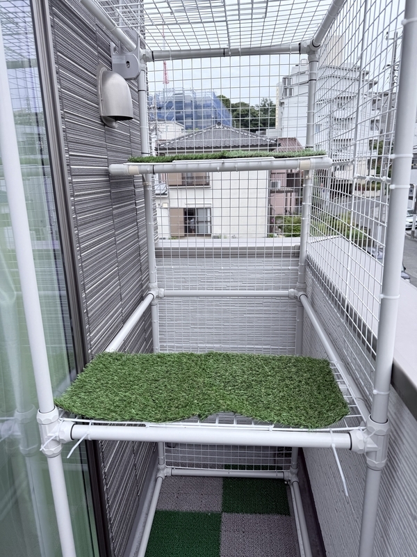 f:id:catsdiary:20260506183321j:image f:id:catsdiary:20260506183321j:image