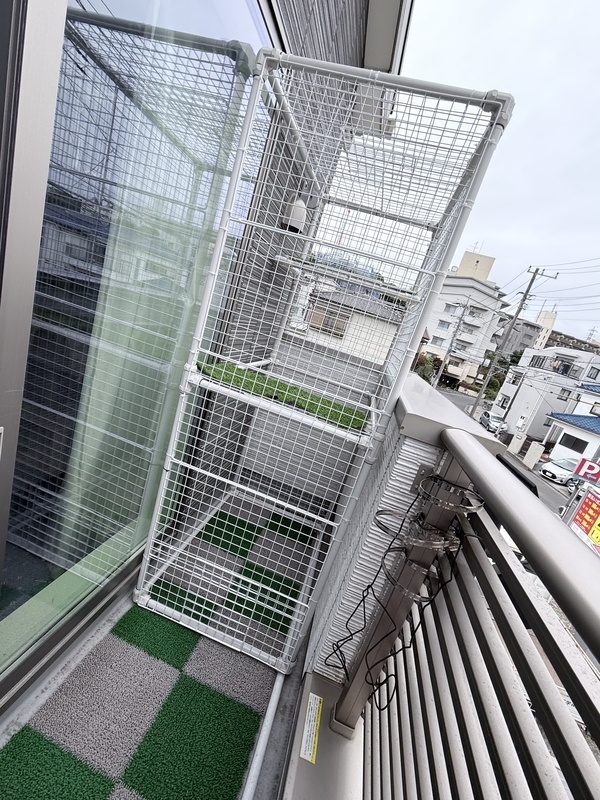 f:id:catsdiary:20260506183335j:image f:id:catsdiary:20260506183335j:image