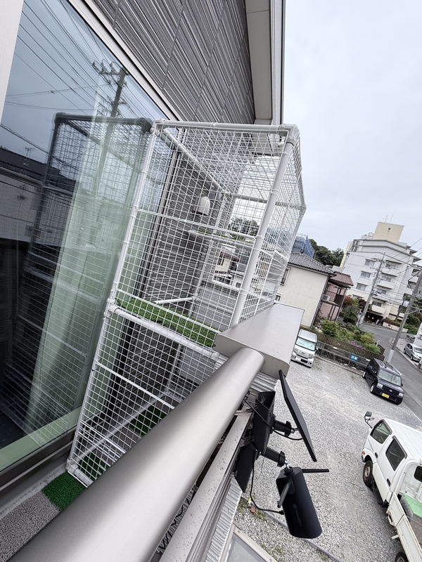 f:id:catsdiary:20260506183345j:image f:id:catsdiary:20260506183345j:image