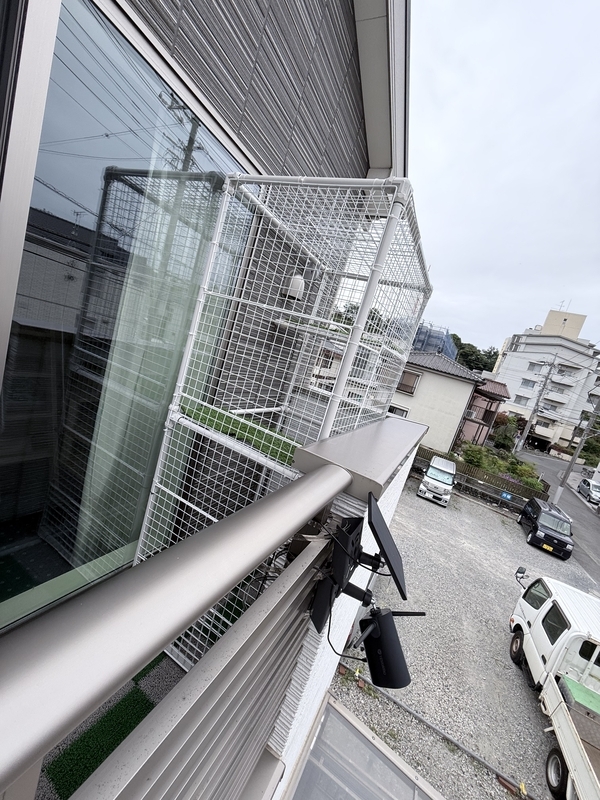 f:id:catsdiary:20260506183357j:image f:id:catsdiary:20260506183357j:image