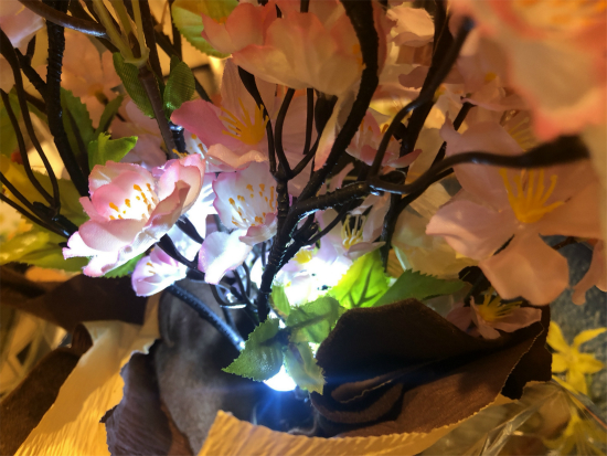f:id:cattee:20190420150944j:plain