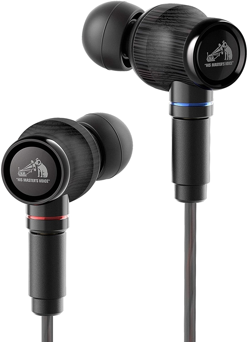 レビュー】JVC HA-FW1500 JVCのウッドはたどり着けるのか? - 【まとめ