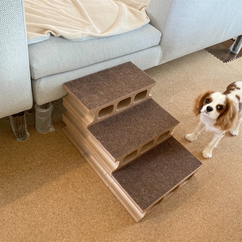 100均でペットステップを手作り - キャバリアもちの毎日