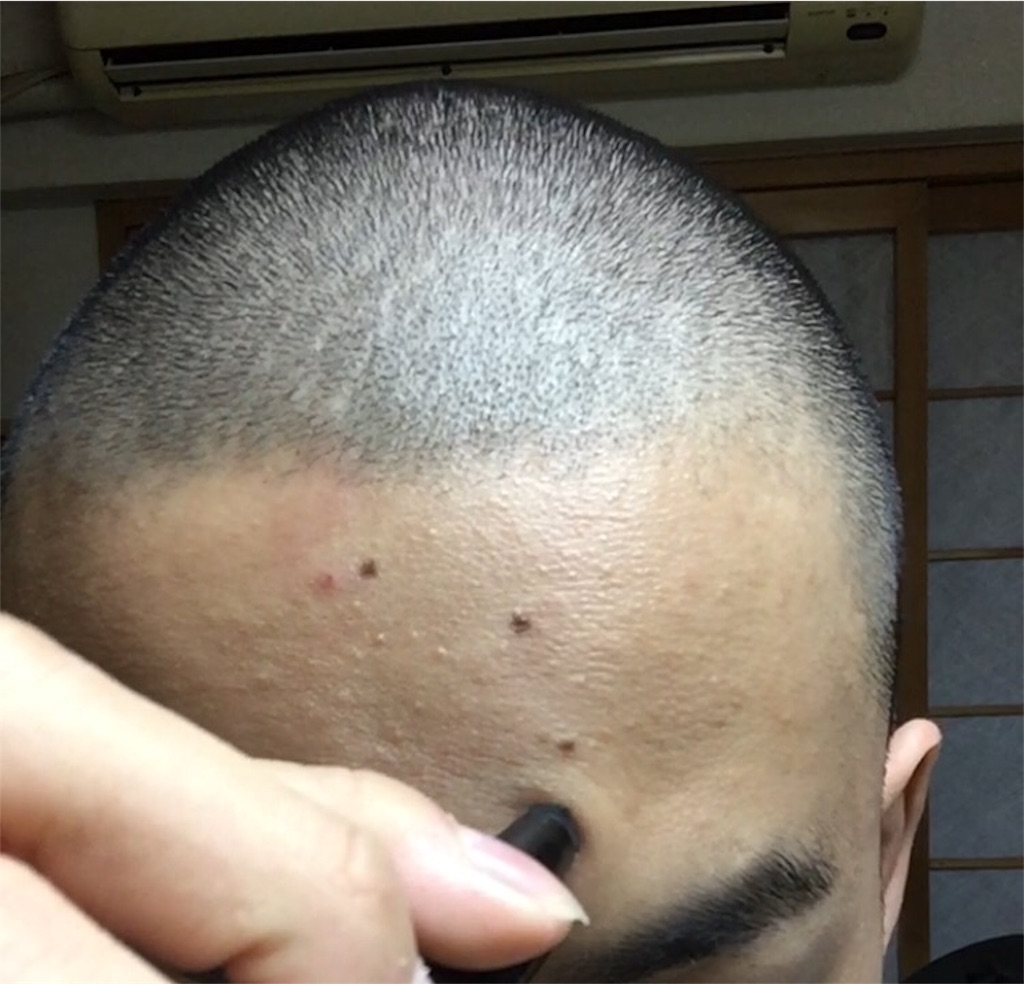 f:id:cawaden:20161121004329j:image