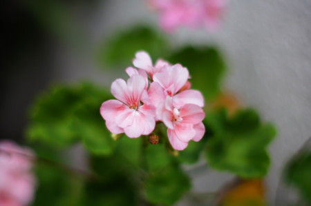 f:id:cawawa:20140915173138j:image