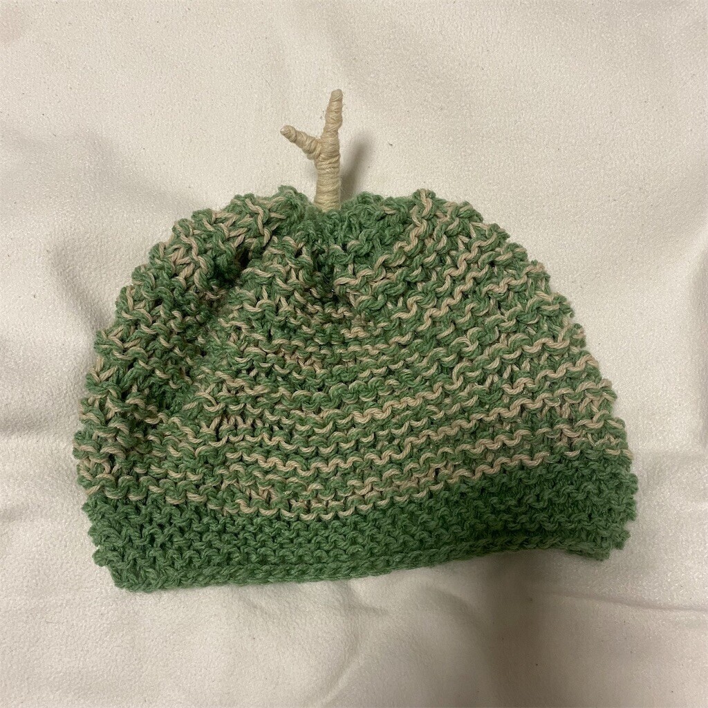 f:id:cayo:20231016164445j:image f:id:cayo:20231016164445j:image