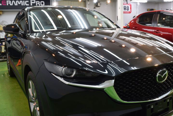 f:id:cbpspd:20200408075537j:plain