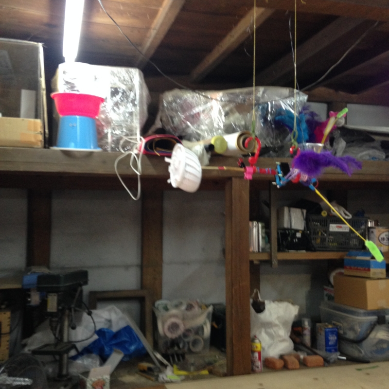 f:id:cbwinwin123:20140929225335j:plain f:id:cbwinwin123:20140929225335j:plain