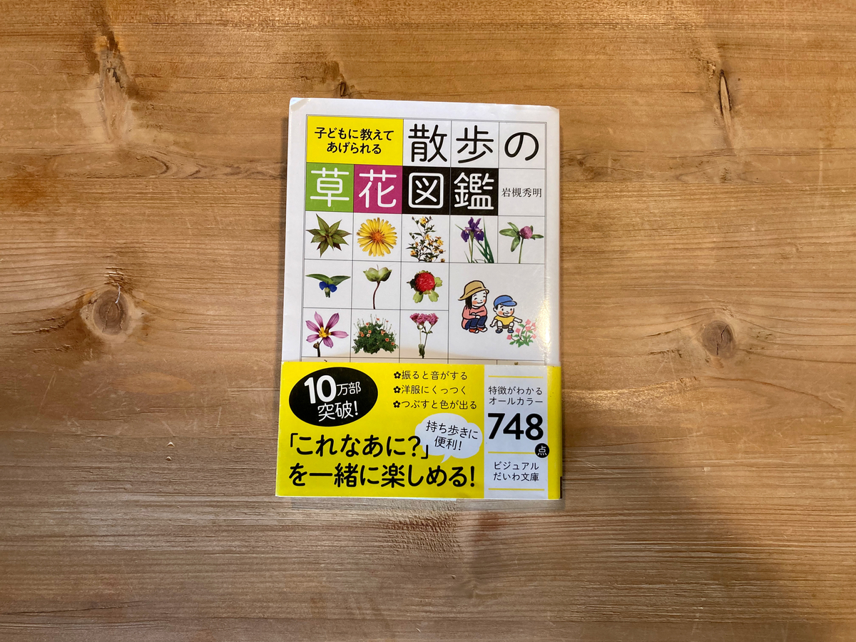 子どもに教えてあげられる 散歩の草花図鑑