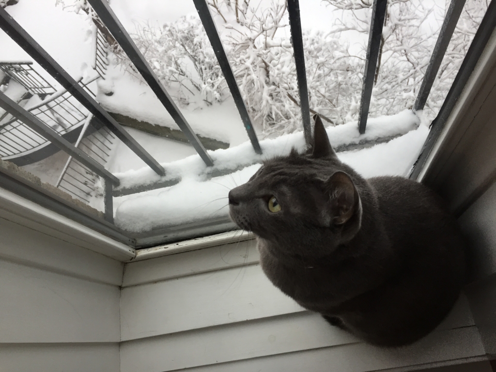 f:id:cc2_montreal:20170105025313j:plain