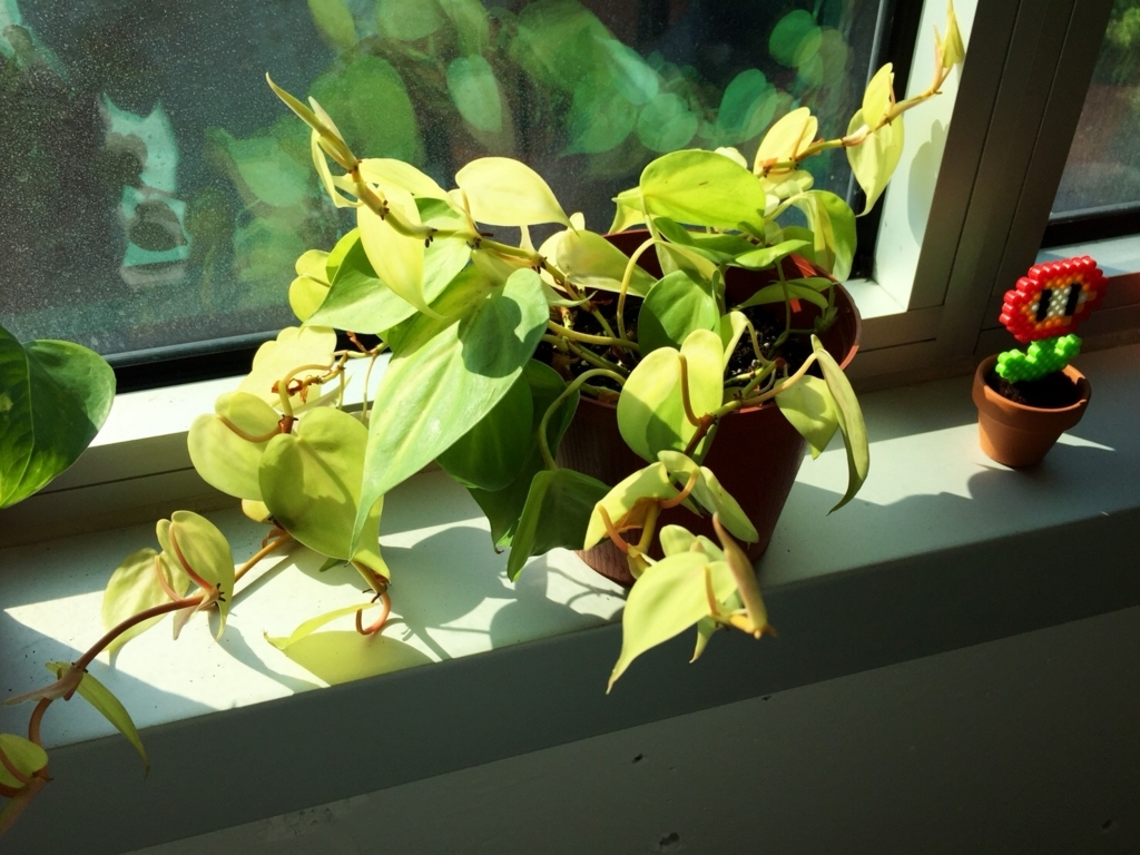 f:id:cc2_montreal:20180727233334j:plain