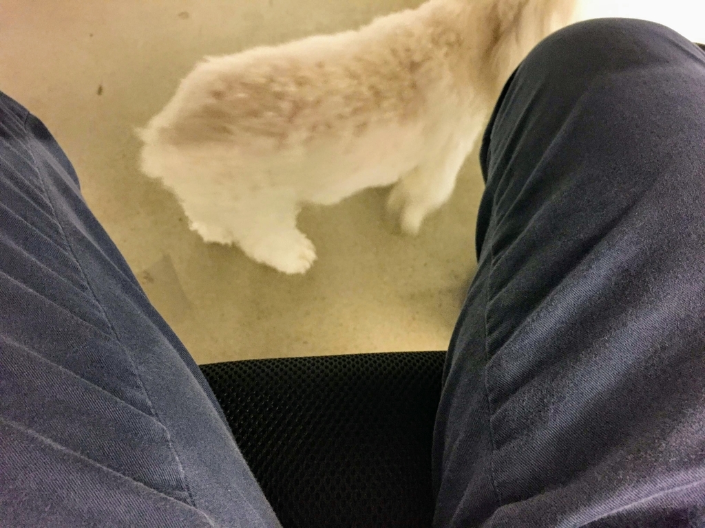 f:id:cc2_montreal:20181220010716j:plain f:id:cc2_montreal:20181220010716j:plain