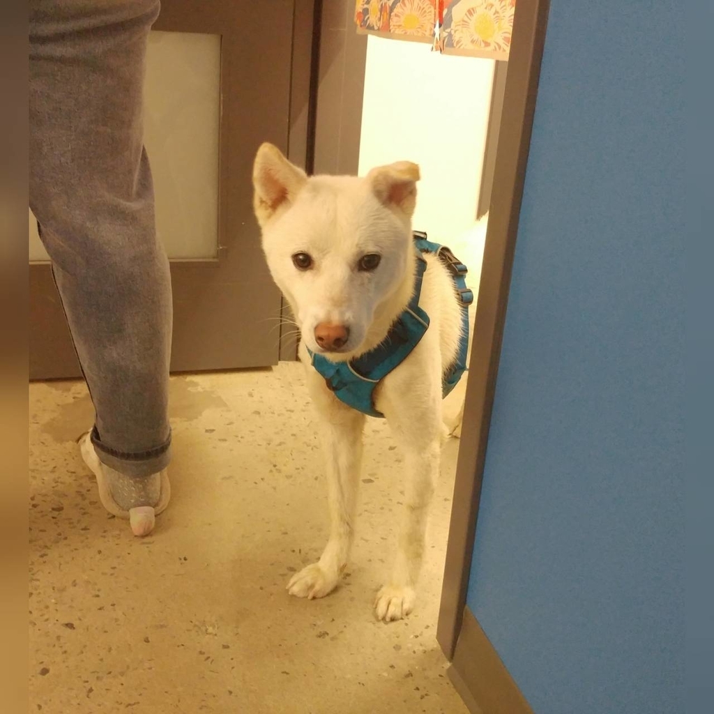 f:id:cc2_montreal:20190104055723j:plain f:id:cc2_montreal:20190104055723j:plain