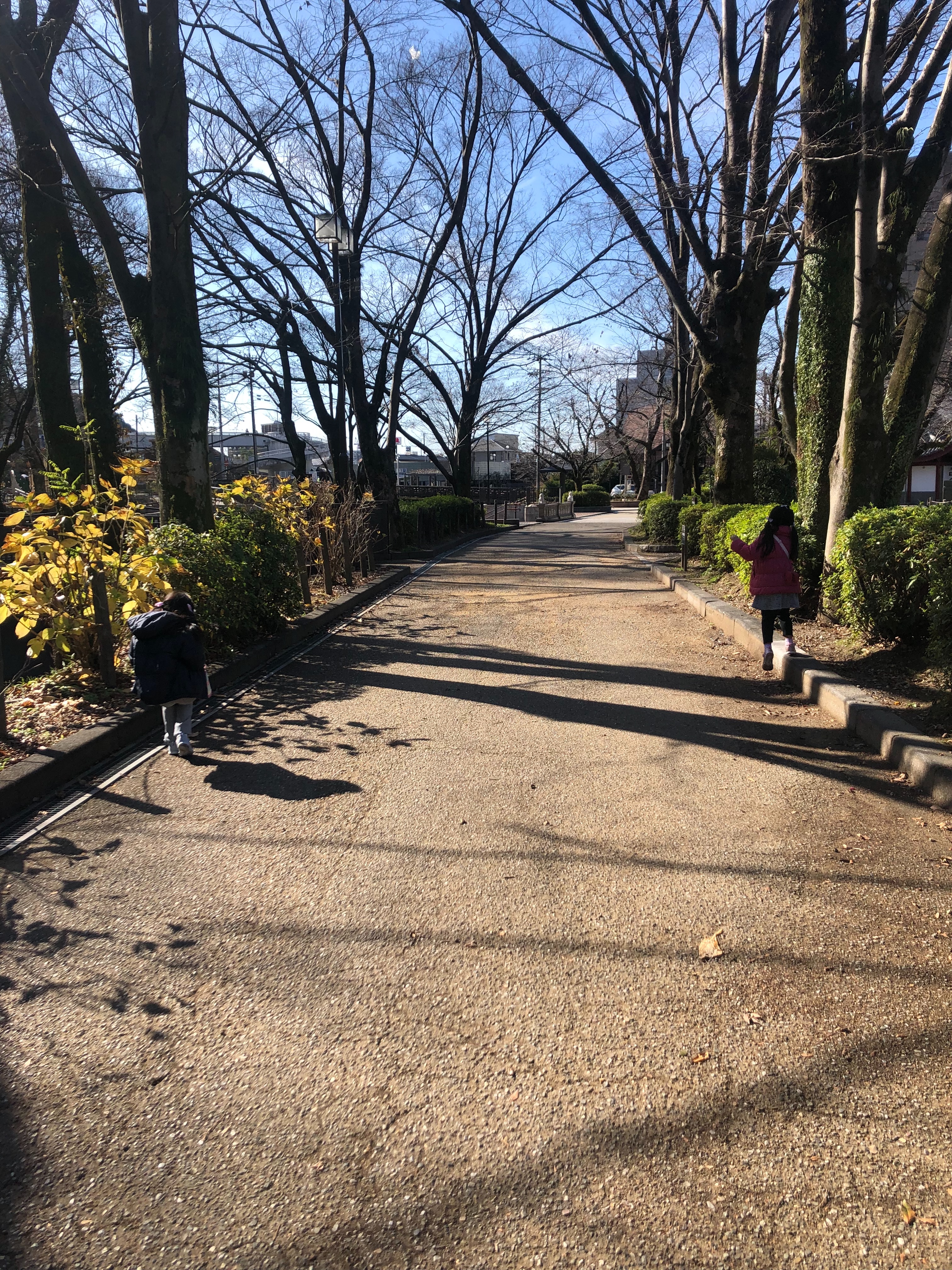 f:id:cchococo:20200112114005j:image