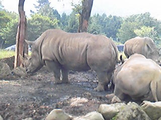 f:id:ccp4:20090721092305j:image f:id:ccp4:20090721092305j:image