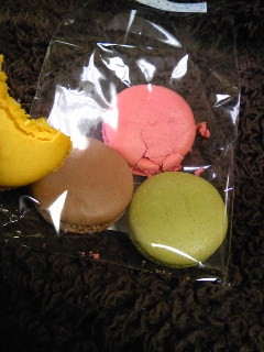 f:id:ccp4:20101231111209j:image