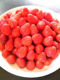f:id:ccp4:20110418105101j:image