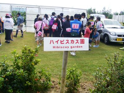 イメージ 11