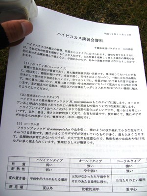 イメージ 13
