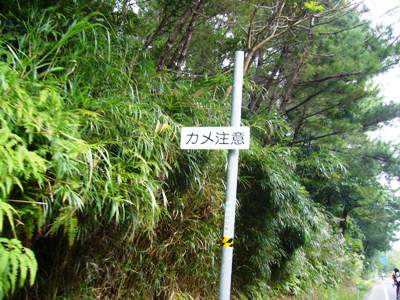 イメージ 8