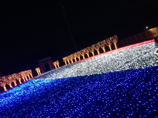 イメージ 5