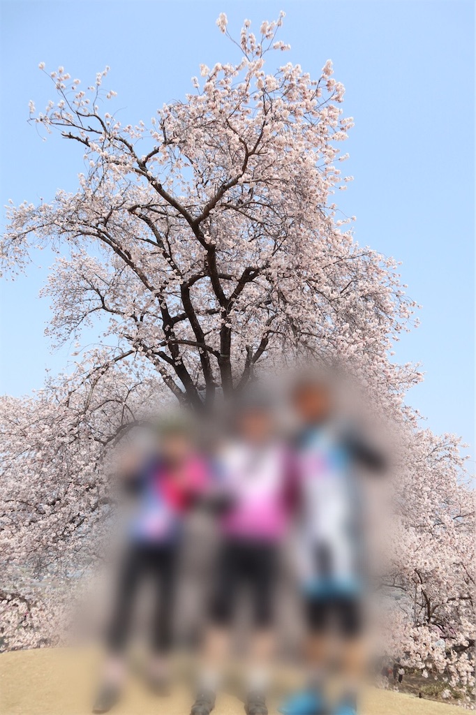 f:id:ccshimo:20200111194155j:image