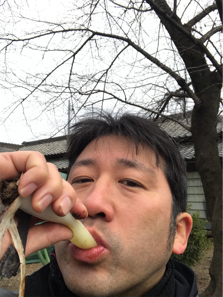 f:id:ccshimo:20200126181407j:image