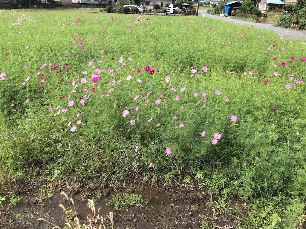 f:id:ccshimo:20201018225028j:image