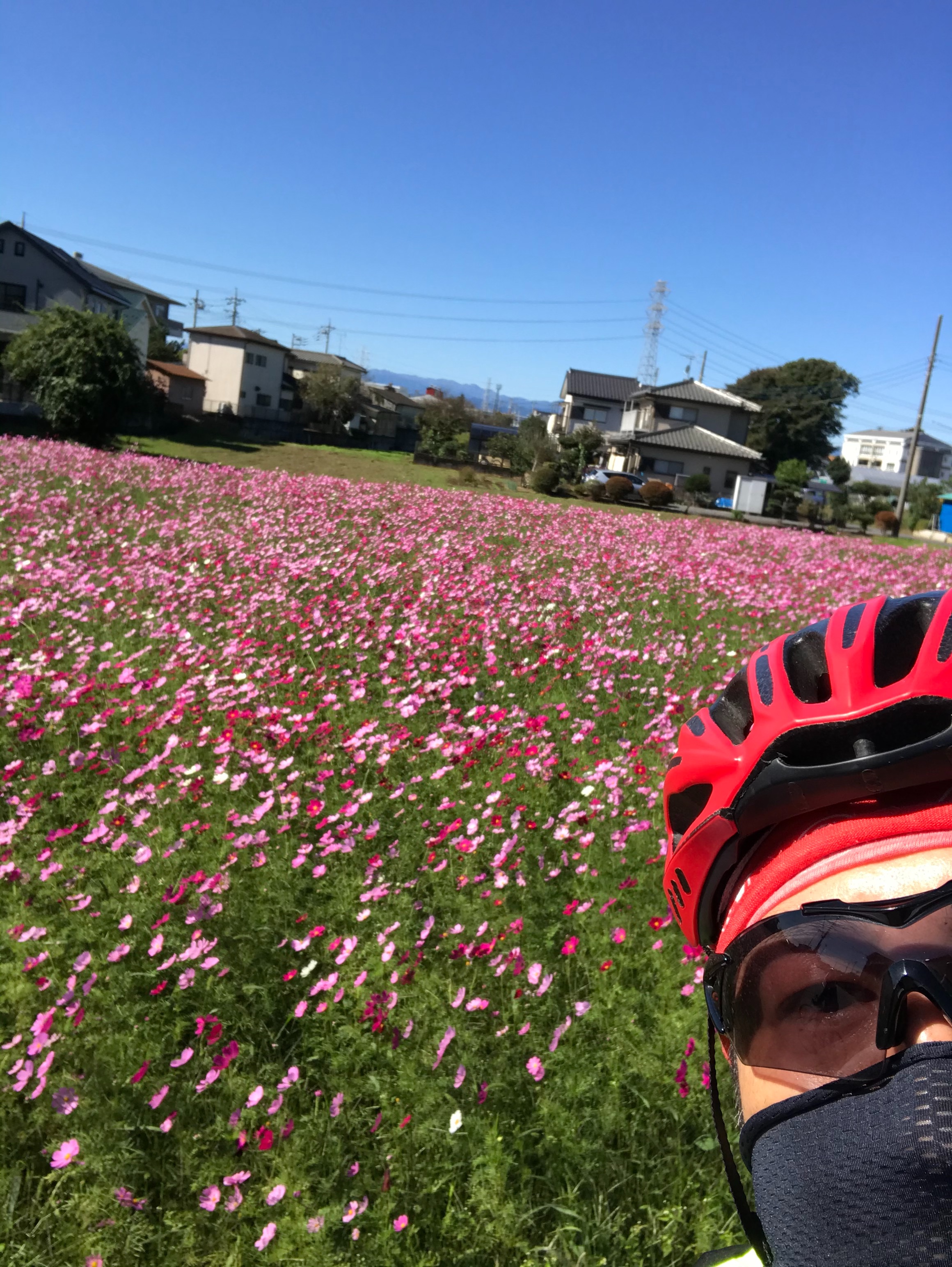 f:id:ccshimo:20201025182344j:image