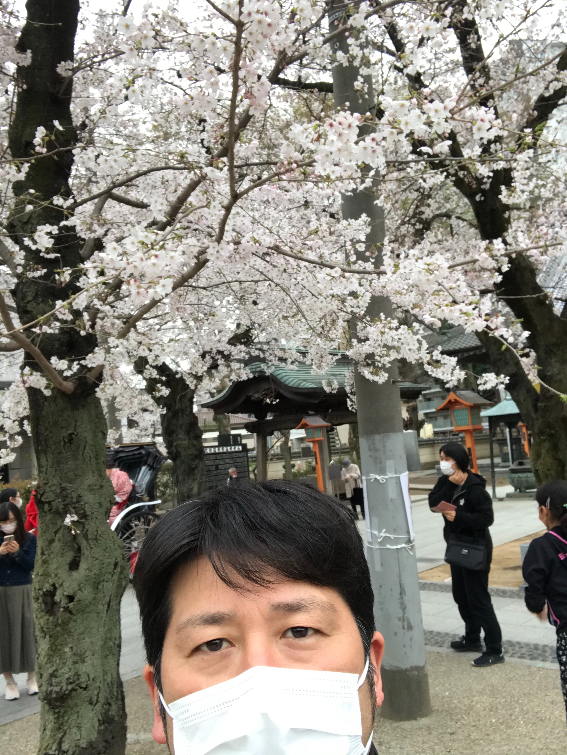 f:id:ccshimo:20210326000945j:image