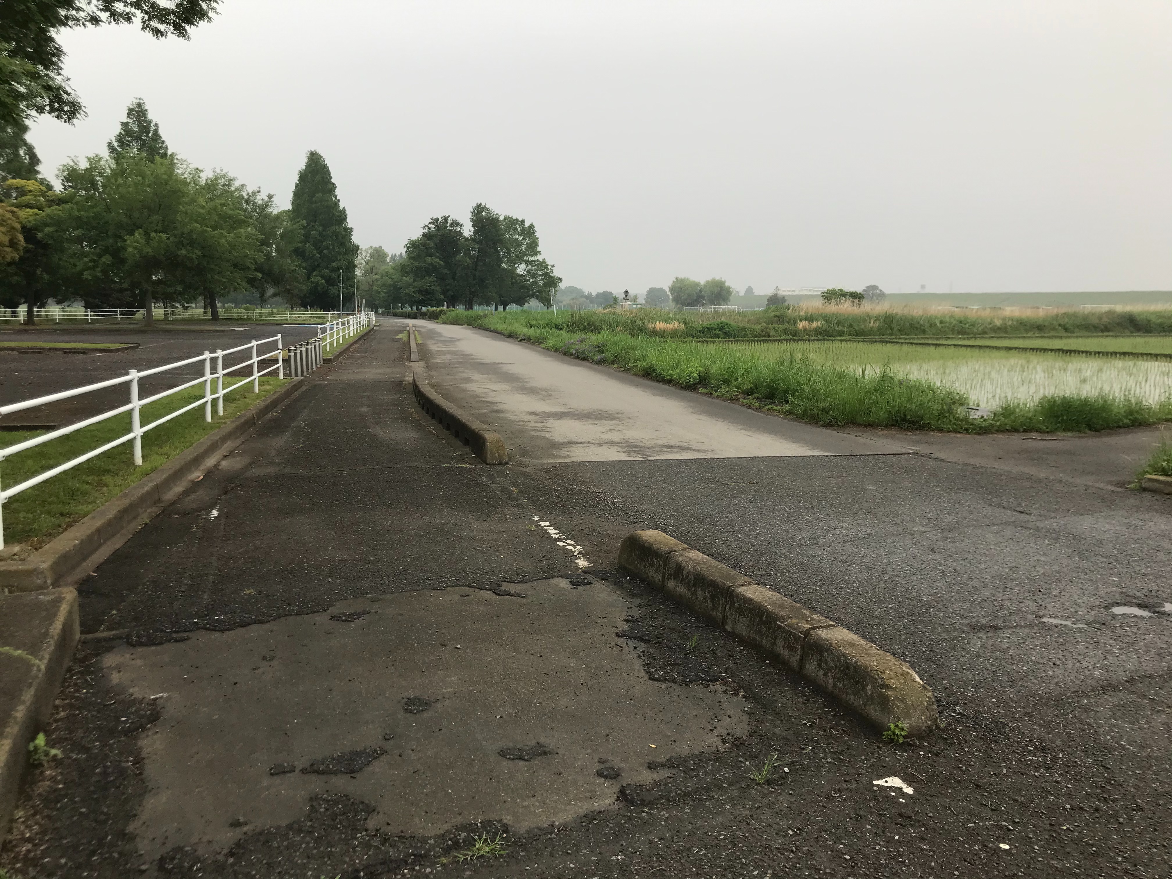 f:id:ccshimo:20210518162209j:image