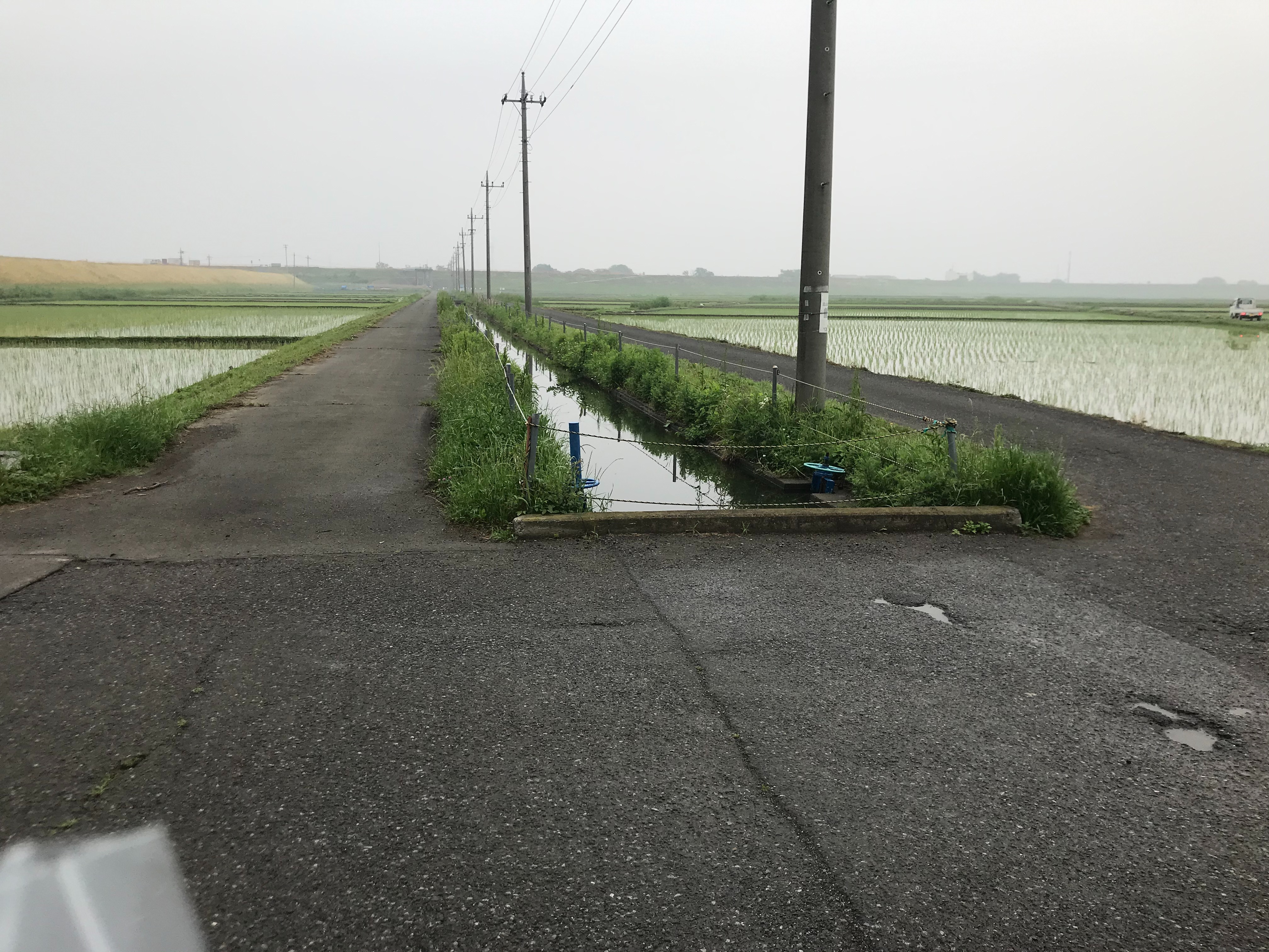 f:id:ccshimo:20210518162313j:image