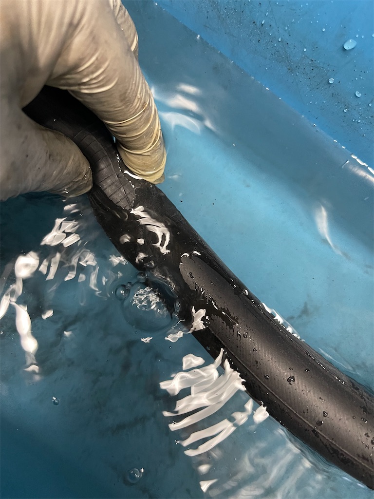 f:id:ccshimo:20211004155541j:image