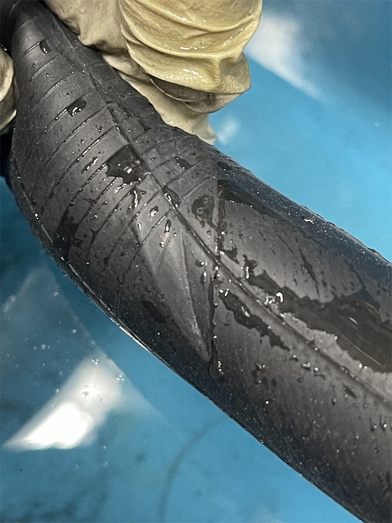 f:id:ccshimo:20211004155613j:image