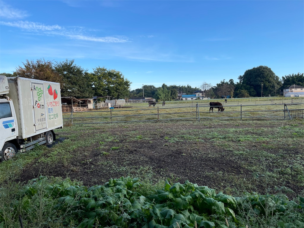 f:id:ccshimo:20211027133607j:image f:id:ccshimo:20211027133607j:image