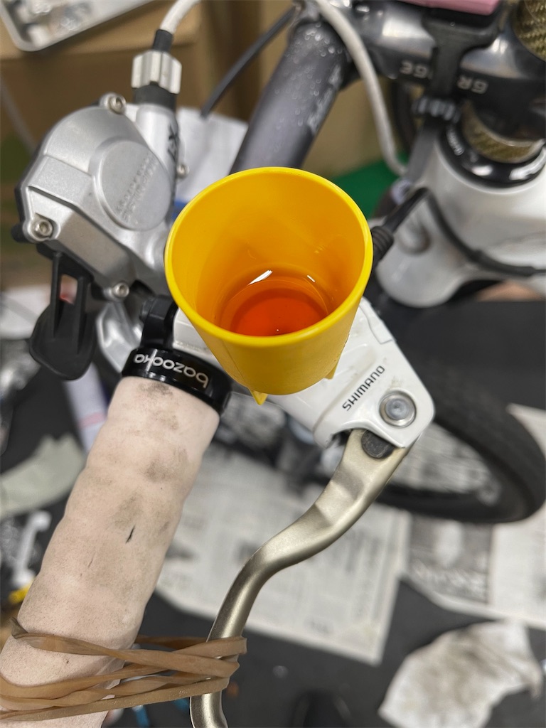 f:id:ccshimo:20211116132431j:image f:id:ccshimo:20211116132431j:image