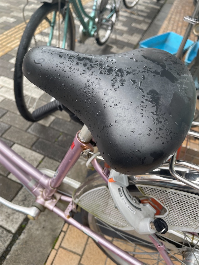 f:id:ccshimo:20220513203258j:image