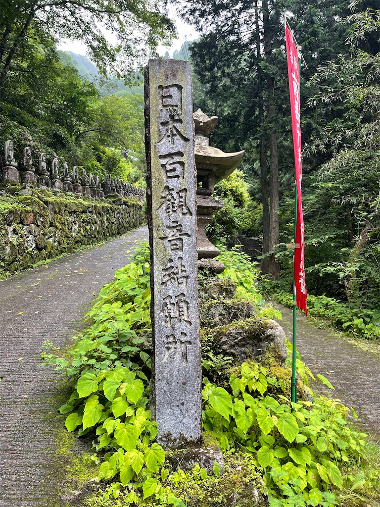 f:id:ccshimo:20220623211534j:image f:id:ccshimo:20220623211534j:image