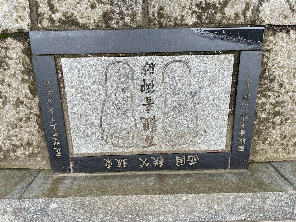 f:id:ccshimo:20220623211537j:image f:id:ccshimo:20220623211537j:image