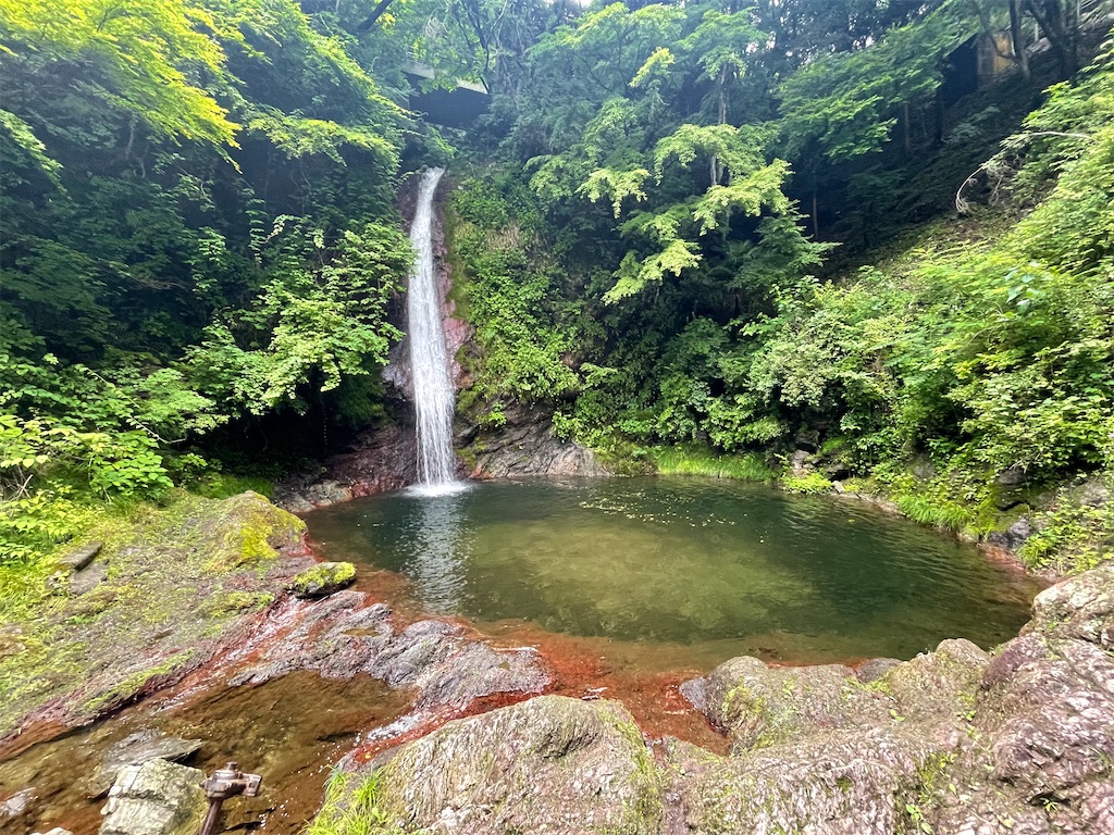 f:id:ccshimo:20220623211543j:image f:id:ccshimo:20220623211543j:image