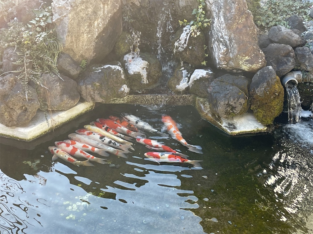 f:id:ccshimo:20230112194442j:image