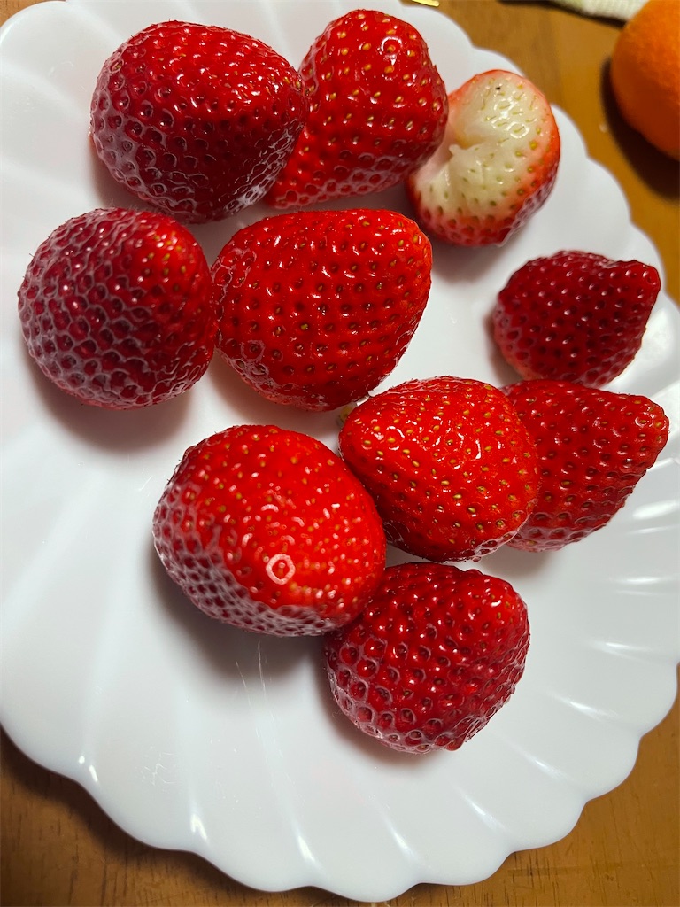 f:id:ccshimo:20230112194450j:image